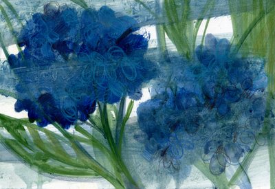 Blue Hydrangeas by Marina Falco