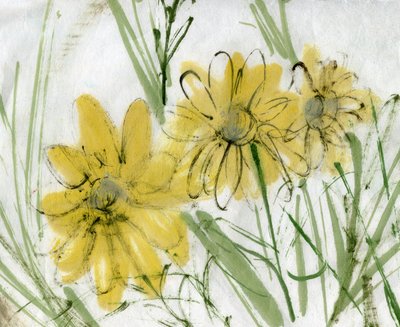 Daisies 2 by Marina Falco