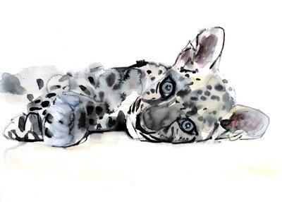 Arabian Leopard Cub, 2008 by Mark Adlington