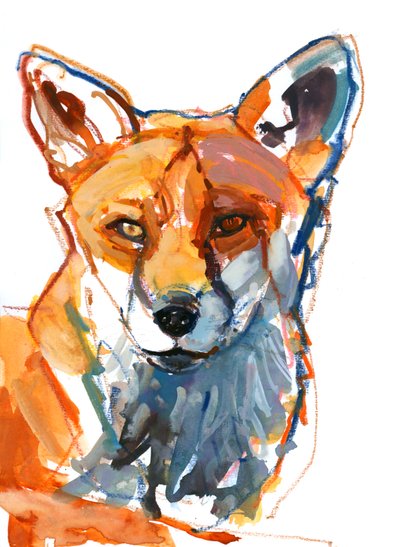 Dog Fox by Mark Adlington