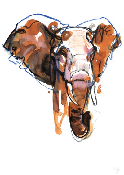 Elephant Head Study by Mark Adlington