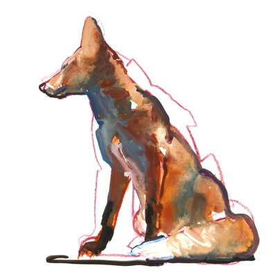 Pyramid fox by Mark Adlington