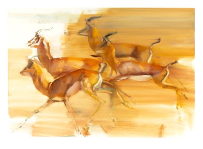 Running Gazelles, 2010 by Mark Adlington