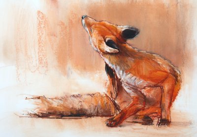 Spring Vixen, 2022 by Mark Adlington