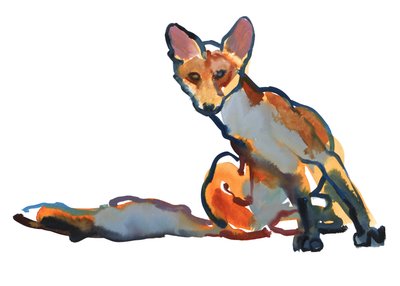 Young Vixen Grooming, 2021 by Mark Adlington