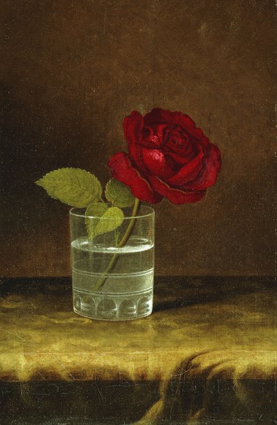 A Red Rose by Martin Johnson Heade