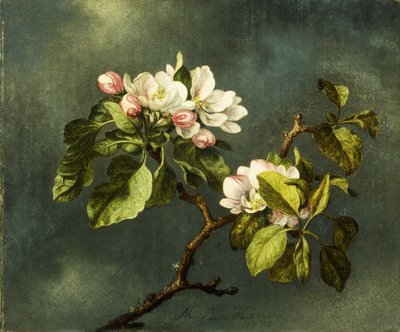 Apple Blossoms by Martin Johnson Heade