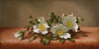 Cherokee Roses by Martin Johnson Heade