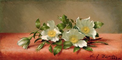 Cherokee Roses by Martin Johnson Heade