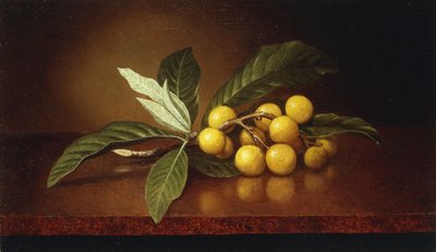 Tropical Plums by Martin Johnson Heade