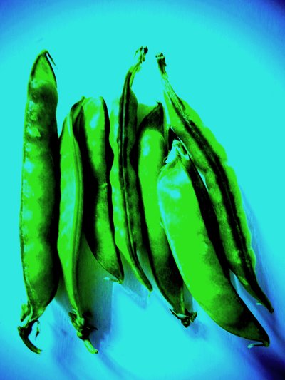 Pea Pods by Martina Konitzky