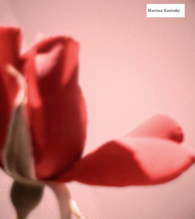 Rose Petal Heart by Martina Konitzky