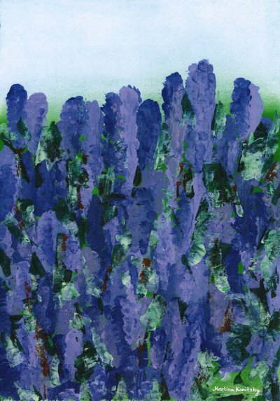 Lavender by Martina Konitzky