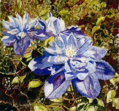Clematis by Mary Smith