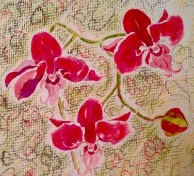 Orchids by Mary Smith