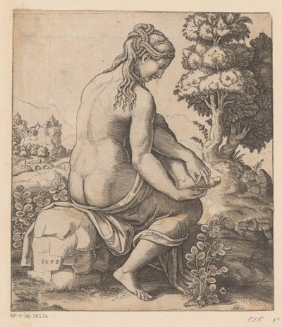 Venus and the Rose by Meester van de Dobbelsteen