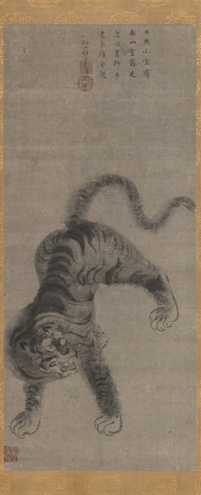 Tiger by Meiso