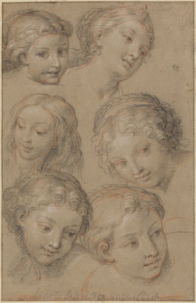 Studies of Women