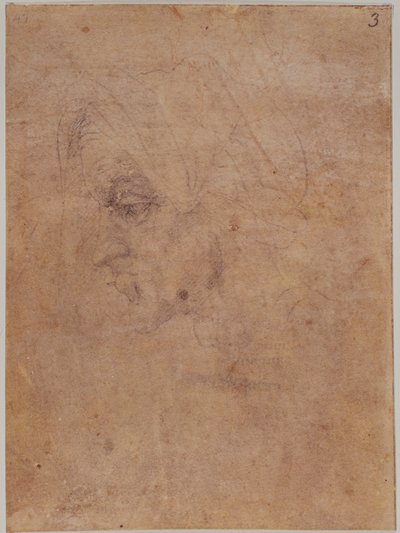 Profile of an old woman by Michelangelo Buonarroti