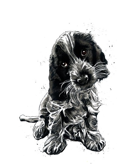 Rosie The Cocker Spaniel by Mike Davis