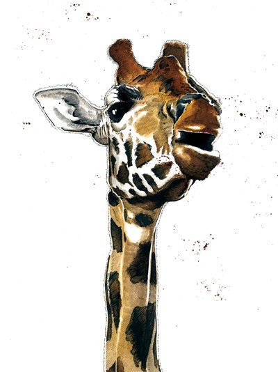 The Giraffe on White by Mike Davis