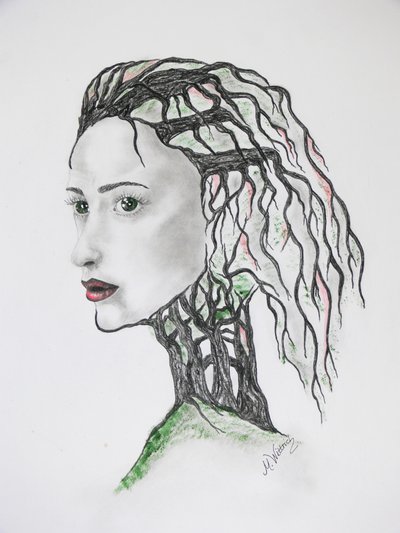 Tree Death by Monika Wittrich