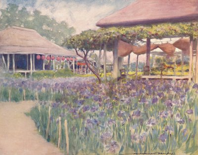 An Iris Garden by Mortimer L Menpes