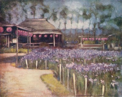 Iris Garden, c1887, 1901 by Mortimer L Menpes