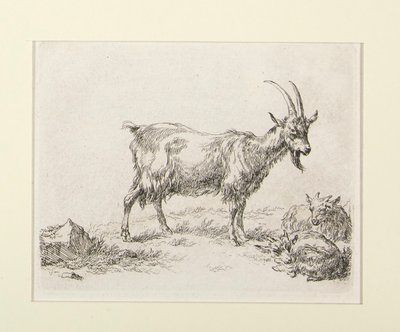 6 Etchings by Nicolaes Berchem