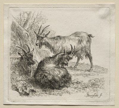 Animalia: Three Goats by Nicolaes Berchem