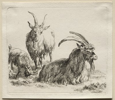 Animalia: Three Goats by Nicolaes Berchem