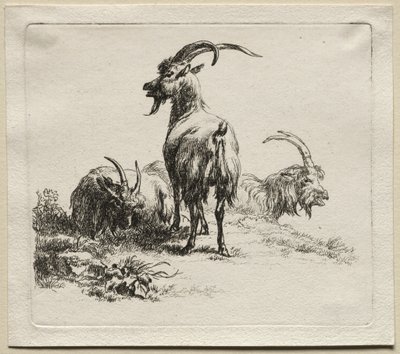 Animalia: Three Goats by Nicolaes Berchem