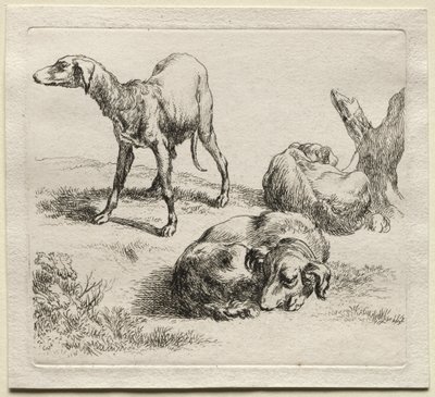 Three Hunting Dogs by Nicolaes Berchem