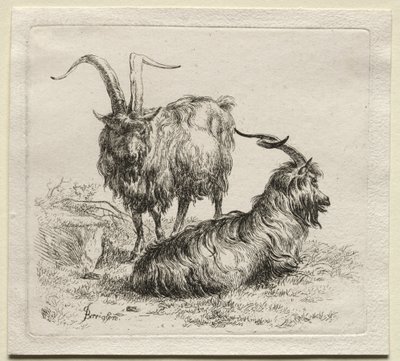 Animalia: Two Goats by Nicolaes Berchem