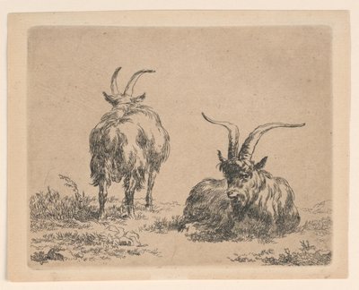 Two Goats by Nicolaes Berchem