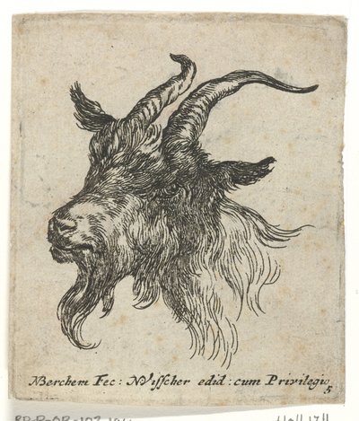 Head of a Goat (Animals series) by Nicolaes Pietersz Berchem