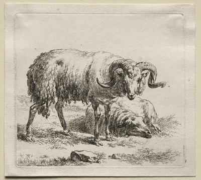 Ram and Sheep by Nicolaes Pietersz. Berchem