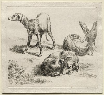 Three Hunting Dogs by Nicolaes Pietersz. Berchem