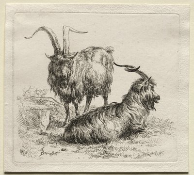 Two Goats by Nicolaes Pietersz. Berchem