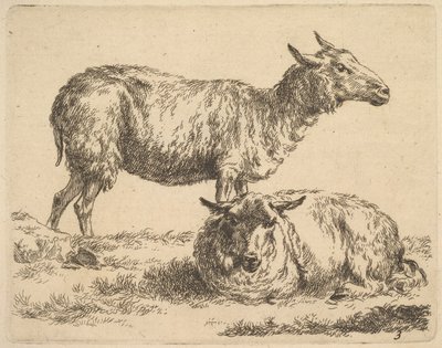 from The Set of Sheep by Nicolaes Pietersz. Berchem