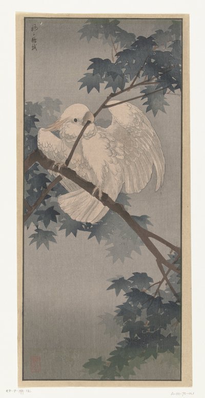 Sulphur-crested Cockatoo in Tree by Ohara Koson (attributed to)