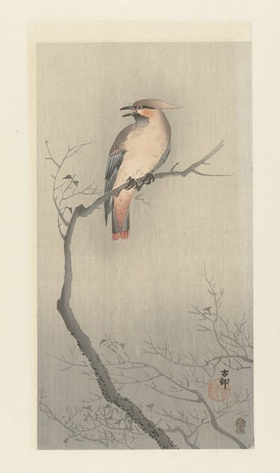 Bohemian Waxwing on a Branch by Ohara Koson