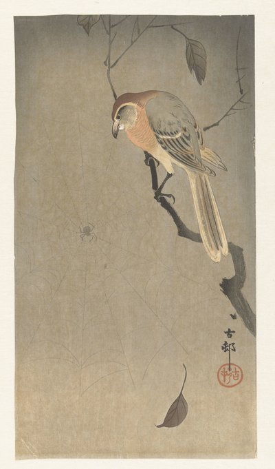 Buffalo-Headed Shrike and Spider by Ohara Koson