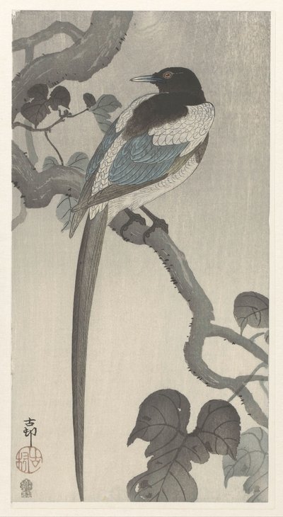 Magpie on Tree Branch by Ohara Koson