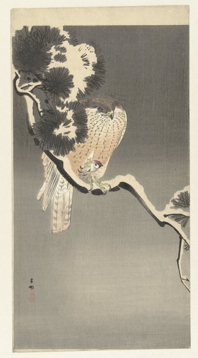 Hawk with Sparrow by Ohara Koson