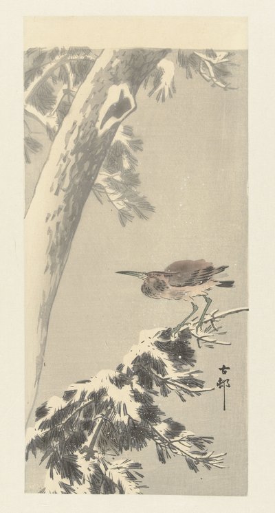 Indian Night Heron on Snowy Branch by Ohara Koson