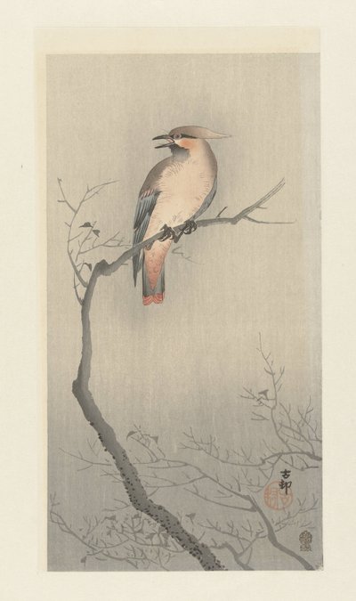 Japanese Waxwing on Branch by Ohara Koson