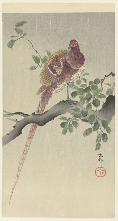 Copper Pheasant by Ohara Koson