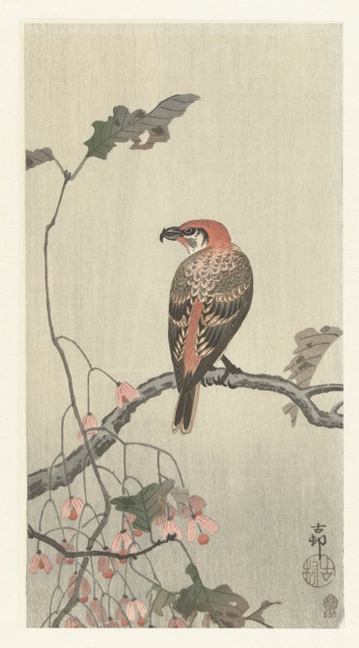 Crossbill on Tree Branch by Ohara Koson