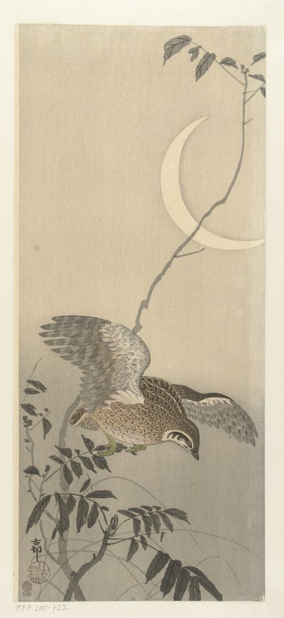 Quail by Sickle Moon by Ohara Koson